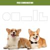 Dog Playpen, 40 Inch 8 Panels Puppy Playpen, Dog Exercise Pen for Large/Medium/Small Dogs, Foldable Dog Pen with Doors for RV, Camping, Yard